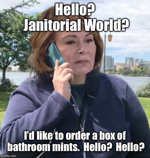 BBQ Roseanne | Hello? Janitorial World? I’d like to order a box of bathroom mints.  Hello?  Hello? | image tagged in bbq roseanne | made w/ Imgflip meme maker