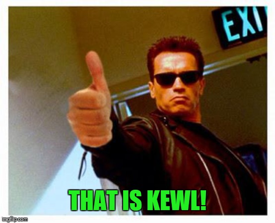 terminator thumbs up | THAT IS KEWL! | image tagged in terminator thumbs up | made w/ Imgflip meme maker