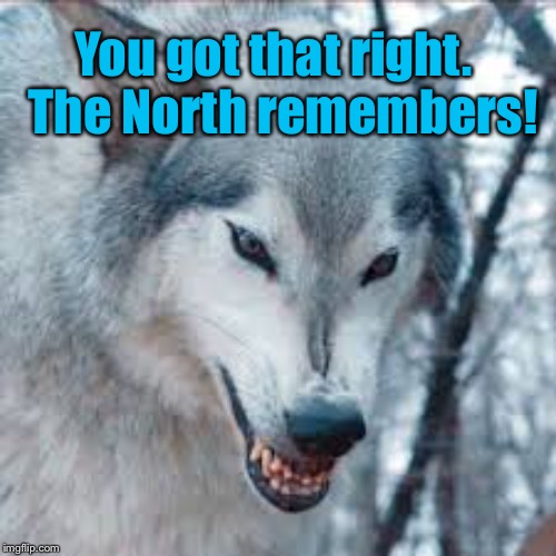 You got that right.  The North remembers! | made w/ Imgflip meme maker