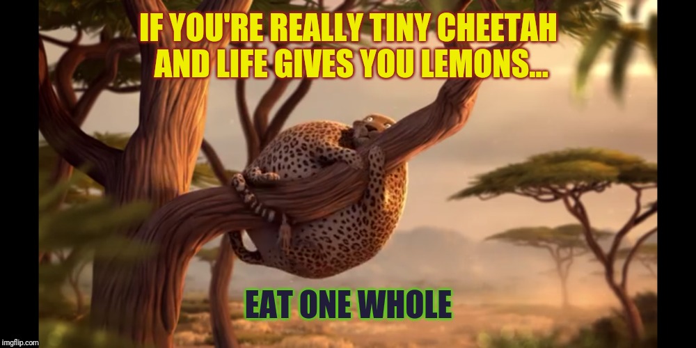 Tiny big cat | IF YOU'RE REALLY TINY CHEETAH AND LIFE GIVES YOU LEMONS... EAT ONE WHOLE | image tagged in cats | made w/ Imgflip meme maker