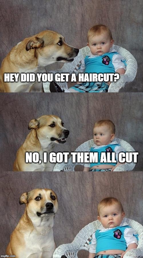 Dad Joke Dog Meme | HEY DID YOU GET A HAIRCUT? NO, I GOT THEM ALL CUT | image tagged in memes,dad joke dog,dad joke,haircut,hair,too funny | made w/ Imgflip meme maker