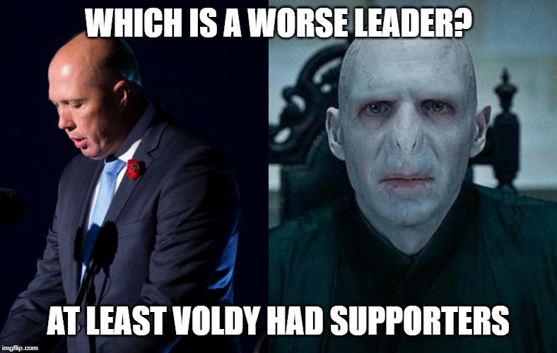 WHICH IS A WORSE LEADER? AT LEAST VOLDY HAD SUPPORTERS | image tagged in lord voldemort | made w/ Imgflip meme maker