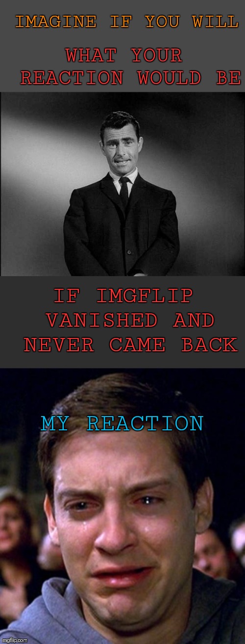 Think about it!!! | IMAGINE IF YOU WILL; WHAT YOUR REACTION WOULD BE; IF IMGFLIP VANISHED AND NEVER CAME BACK; MY REACTION | image tagged in crying peter parker,rod serling twilight zone,memes,imgflip,44colt,sad day | made w/ Imgflip meme maker