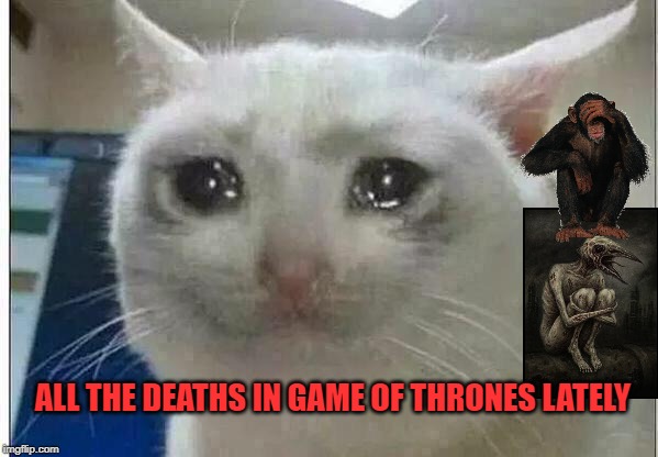 crying cat | ALL THE DEATHS IN GAME OF THRONES LATELY | image tagged in crying cat | made w/ Imgflip meme maker