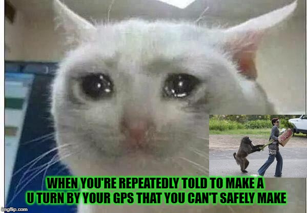 crying cat | WHEN YOU'RE REPEATEDLY TOLD TO MAKE A U TURN BY YOUR GPS THAT YOU CAN'T SAFELY MAKE | image tagged in crying cat | made w/ Imgflip meme maker