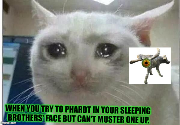 Featured image of post Meme Cat Face Crying / Buy &#039;crying cat meme&#039; by cherrygloss as a poster.