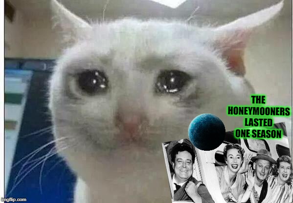 crying cat | THE HONEYMOONERS LASTED ONE SEASON | image tagged in crying cat | made w/ Imgflip meme maker