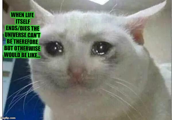 crying cat | WHEN LIFE ITSELF ENDS/DIES THE UNIVERSE CAN'T BE THEREFORE BUT OTHERWISE WOULD BE LIKE... | image tagged in crying cat | made w/ Imgflip meme maker