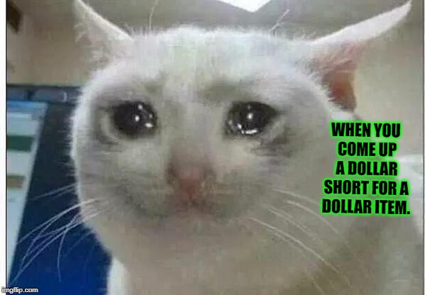 crying cat | WHEN YOU COME UP A DOLLAR SHORT FOR A DOLLAR ITEM. | image tagged in crying cat | made w/ Imgflip meme maker