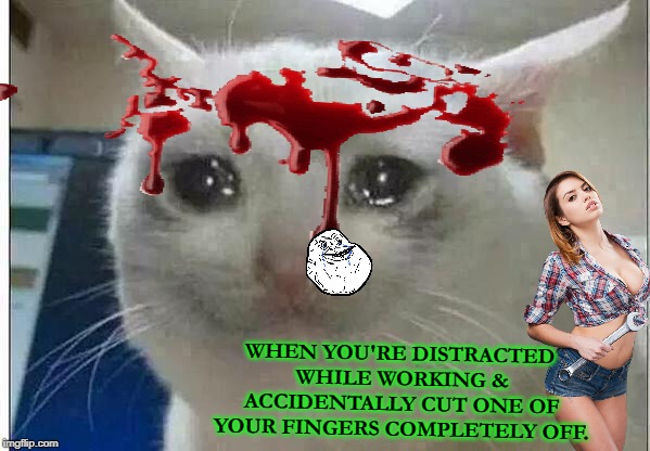 crying cat | WHEN YOU'RE DISTRACTED WHILE WORKING & ACCIDENTALLY CUT ONE OF YOUR FINGERS COMPLETELY OFF. | image tagged in crying cat | made w/ Imgflip meme maker