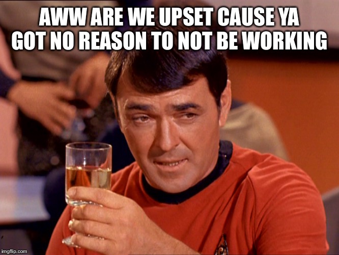 Drunk Scott | AWW ARE WE UPSET CAUSE YA GOT NO REASON TO NOT BE WORKING | image tagged in drunk scott | made w/ Imgflip meme maker