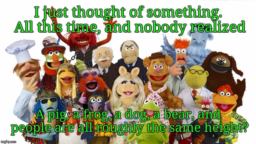 Image tagged in muppets,memes - Imgflip