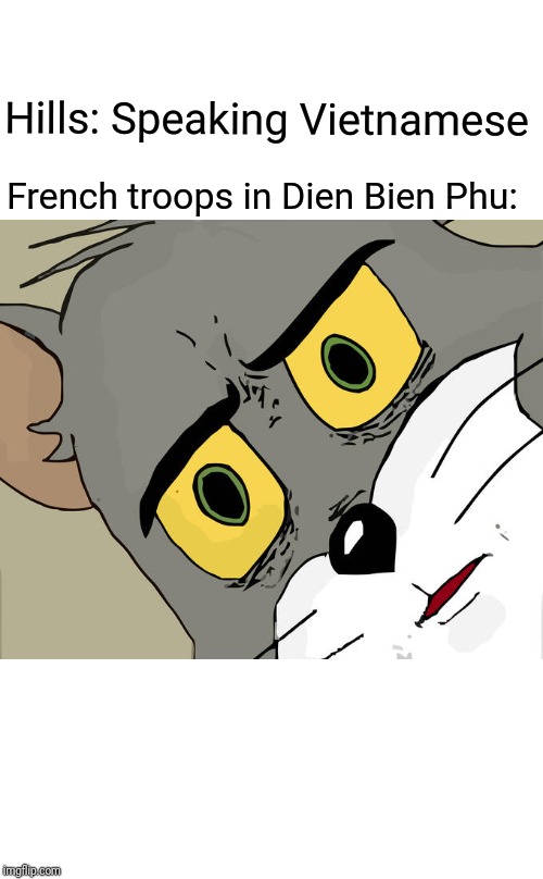 Unsettled Tom Meme | Hills: Speaking Vietnamese; French troops in Dien Bien Phu: | image tagged in memes,unsettled tom | made w/ Imgflip meme maker