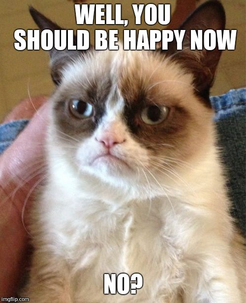 Grumpy Cat Meme | WELL, YOU SHOULD BE HAPPY NOW NO? | image tagged in memes,grumpy cat | made w/ Imgflip meme maker