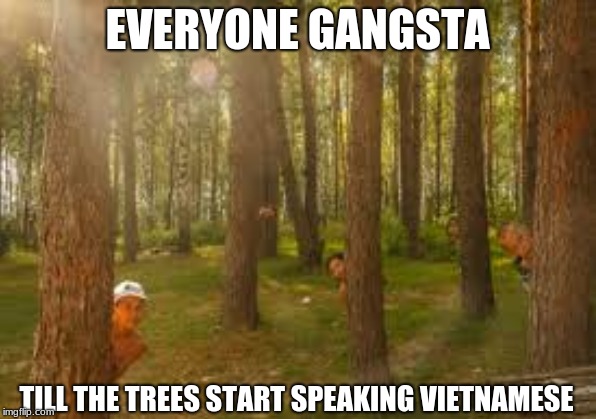 i would be scared too | EVERYONE GANGSTA; TILL THE TREES START SPEAKING VIETNAMESE | image tagged in vietnam,usa,gangsta | made w/ Imgflip meme maker