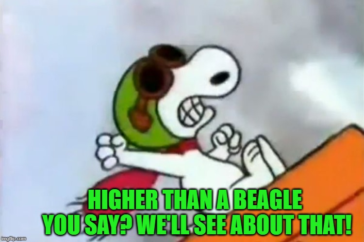 HIGHER THAN A BEAGLE YOU SAY? WE'LL SEE ABOUT THAT! | made w/ Imgflip meme maker
