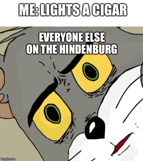 Stupid cat | ME: LIGHTS A CIGAR; EVERYONE ELSE ON THE HINDENBURG | image tagged in funny,unsettled tom | made w/ Imgflip meme maker