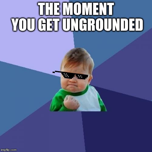 Success Kid Meme | THE MOMENT YOU GET UNGROUNDED | image tagged in memes,success kid | made w/ Imgflip meme maker