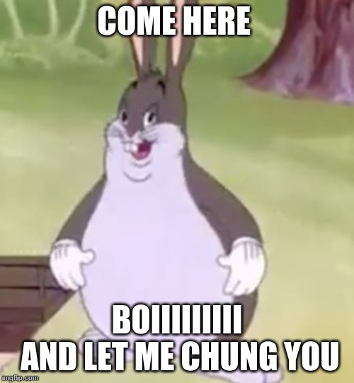 Big Chungus | COME HERE; BOIIIIIIIII AND LET ME CHUNG YOU | image tagged in big chungus | made w/ Imgflip meme maker