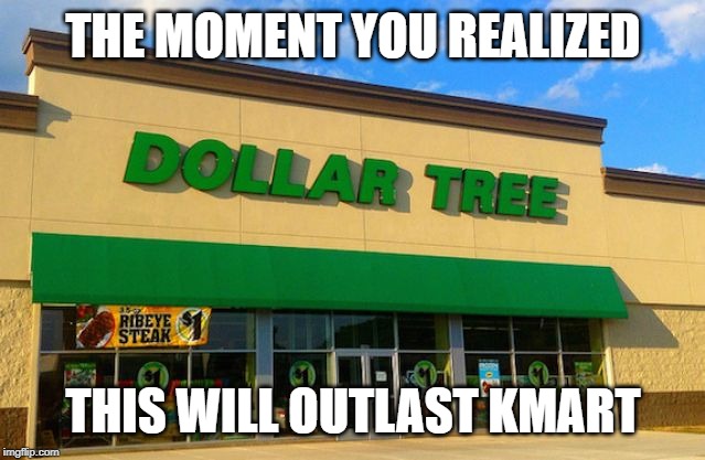 Dollar Tree | THE MOMENT YOU REALIZED; THIS WILL OUTLAST KMART | image tagged in dollar tree | made w/ Imgflip meme maker
