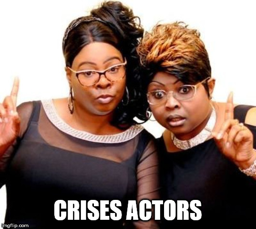 Diamond and Silk | CRISES ACTORS | image tagged in diamond and silk | made w/ Imgflip meme maker