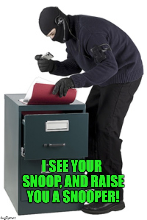 Snooping | I SEE YOUR SNOOP, AND RAISE YOU A SNOOPER! | image tagged in snooping | made w/ Imgflip meme maker