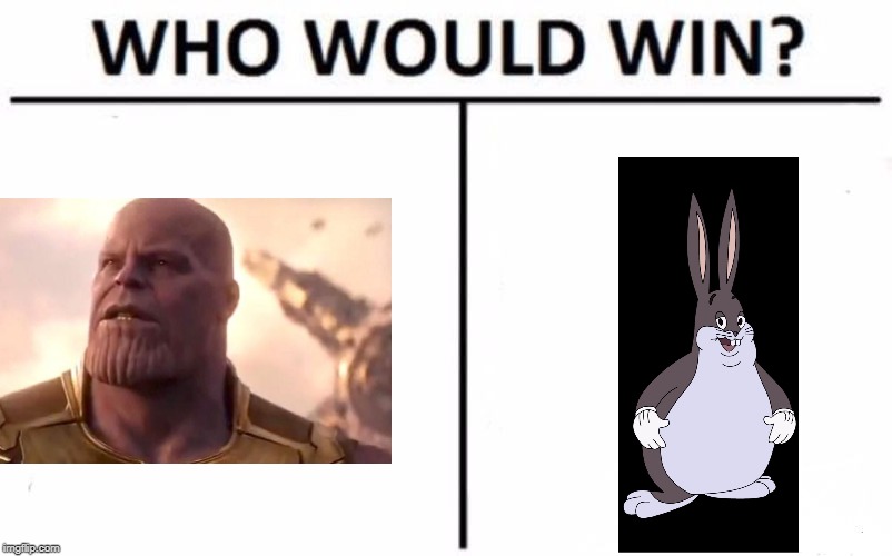 Who Would Win? | image tagged in memes,who would win | made w/ Imgflip meme maker