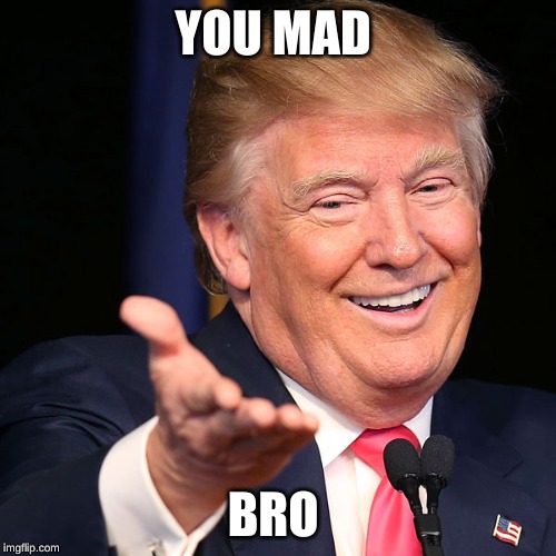 u mad trump | YOU MAD; BRO | image tagged in u mad trump | made w/ Imgflip meme maker