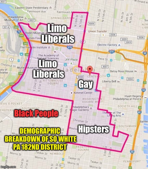 Brian Sims PA 182nd District | Limo Liberals; Limo Liberals; Gay; Black People; Hipsters; DEMOGRAPHIC BREAKDOWN OF SO WHITE PA 182ND DISTRICT | image tagged in liberals,democrats | made w/ Imgflip meme maker