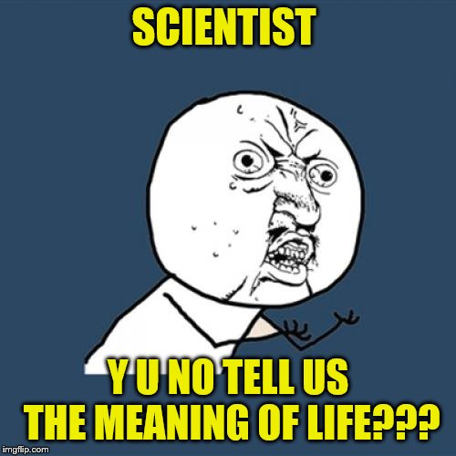 Y U No Meme | SCIENTIST; Y U NO TELL US THE MEANING OF LIFE??? | image tagged in memes,y u no | made w/ Imgflip meme maker