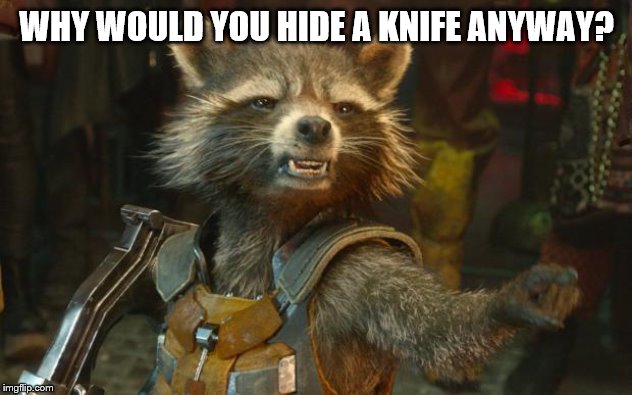 rocket racoon | WHY WOULD YOU HIDE A KNIFE ANYWAY? | image tagged in rocket racoon | made w/ Imgflip meme maker
