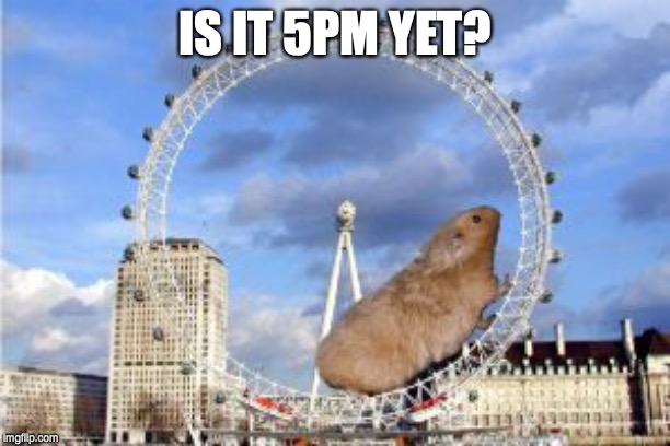 Giant Hamster Wheel | IS IT 5PM YET? | image tagged in giant hamster wheel | made w/ Imgflip meme maker