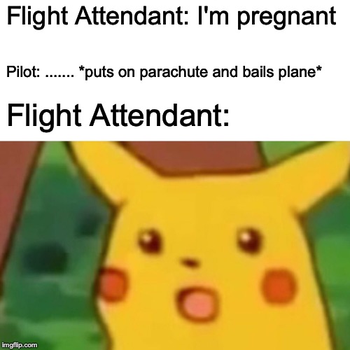 Surprised Pikachu Meme | Flight Attendant: I'm pregnant Pilot: ....... *puts on parachute and bails plane* Flight Attendant: | image tagged in memes,surprised pikachu | made w/ Imgflip meme maker