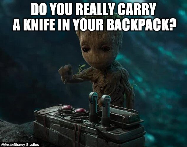 Baby groot | DO YOU REALLY CARRY A KNIFE IN YOUR BACKPACK? | image tagged in baby groot | made w/ Imgflip meme maker