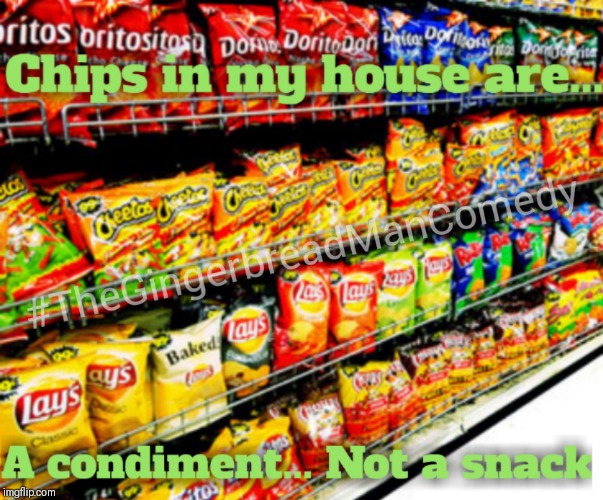 Chip are a condiment not a snack | image tagged in chip are a condiment not a snack | made w/ Imgflip meme maker