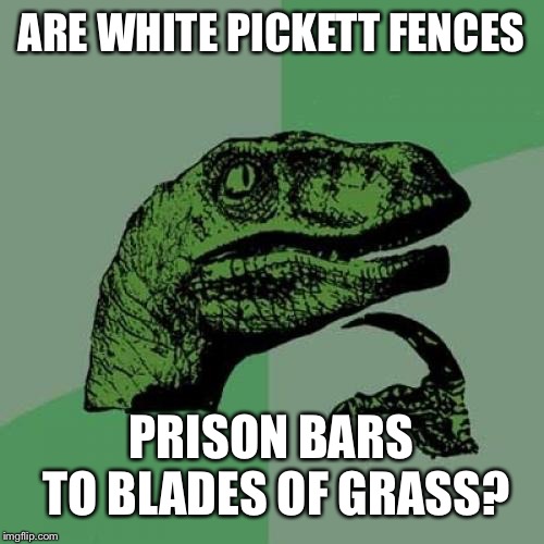 Philosoraptor | ARE WHITE PICKETT FENCES; PRISON BARS TO BLADES OF GRASS? | image tagged in memes,philosoraptor | made w/ Imgflip meme maker