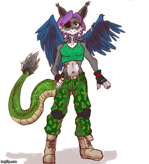 Katy Falconclaw, my Kitsune-Falcon-Serpent hybrid OC that I didn't draw. Someone named Captain OwO drew it for me. | image tagged in ocs | made w/ Imgflip meme maker