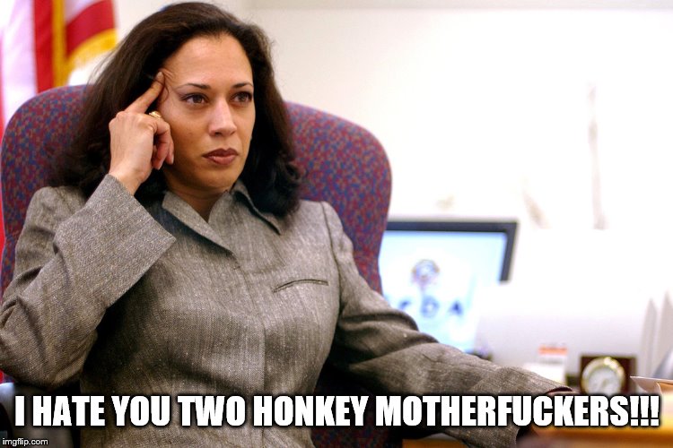 The kamala's plan | I HATE YOU TWO HONKEY MOTHERFUCKERS!!! | image tagged in the kamala's plan | made w/ Imgflip meme maker