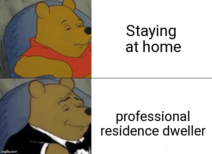 Tuxedo Winnie The Pooh Meme | Staying at home . professional residence dweller | image tagged in memes,tuxedo winnie the pooh | made w/ Imgflip meme maker