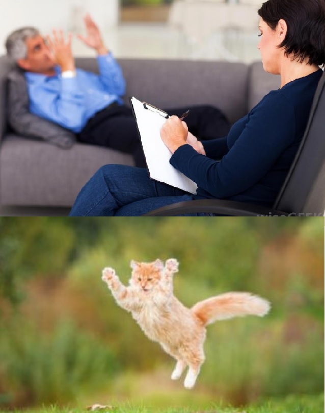 Therapy Meme Template