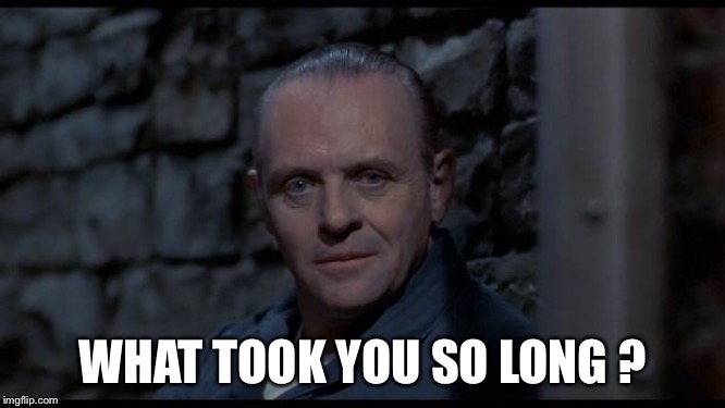 hannibal lecter silence of the lambs | WHAT TOOK YOU SO LONG ? | image tagged in hannibal lecter silence of the lambs | made w/ Imgflip meme maker