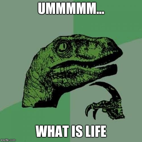 Philosoraptor | UMMMMM... WHAT IS LIFE | image tagged in memes,philosoraptor | made w/ Imgflip meme maker