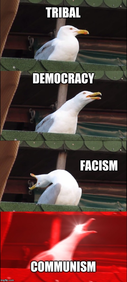 Inhaling Seagull | TRIBAL; DEMOCRACY; FACISM; COMMUNISM | image tagged in memes,inhaling seagull | made w/ Imgflip meme maker