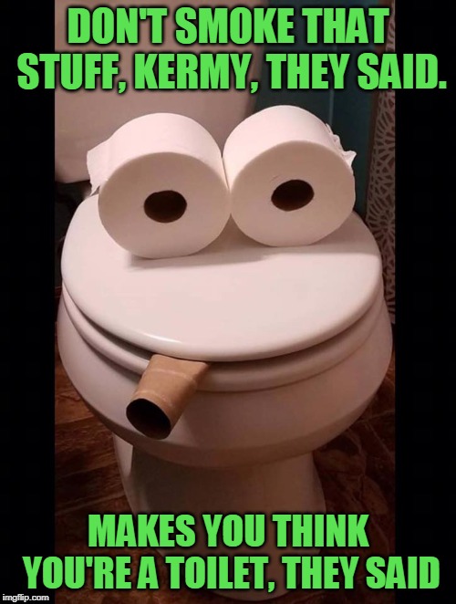 Toilet the Frog | DON'T SMOKE THAT STUFF, KERMY, THEY SAID. MAKES YOU THINK YOU'RE A TOILET, THEY SAID | image tagged in kermit,toilet,toilet humor,memes | made w/ Imgflip meme maker