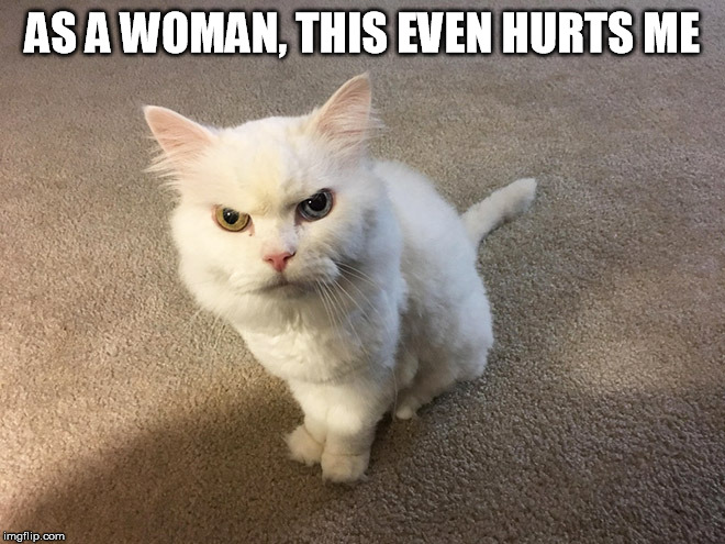 hate cat | AS A WOMAN, THIS EVEN HURTS ME | image tagged in hate cat | made w/ Imgflip meme maker
