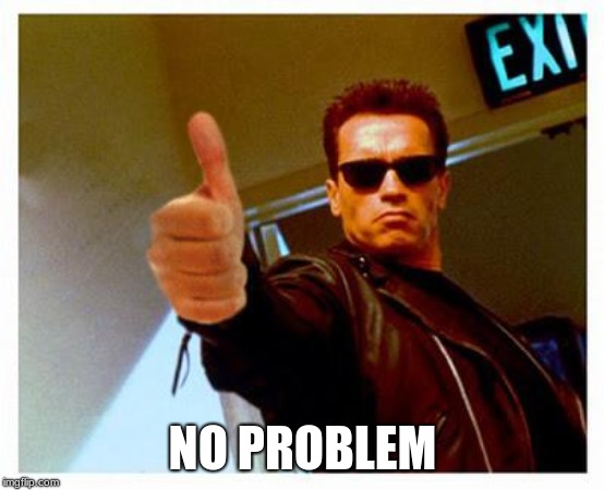 terminator thumbs up | NO PROBLEM | image tagged in terminator thumbs up | made w/ Imgflip meme maker