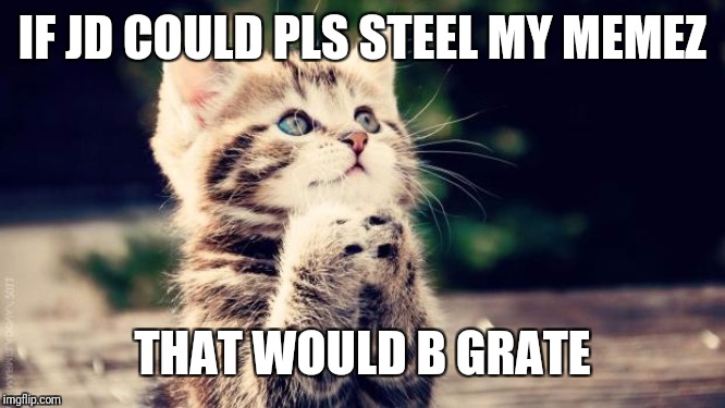 Praying cat | IF JD COULD PLS STEEL MY MEMEZ THAT WOULD B GRATE | image tagged in praying cat | made w/ Imgflip meme maker