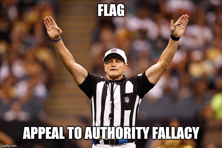 Logical Fallacy Referee NFL #85 | FLAG APPEAL TO AUTHORITY FALLACY | image tagged in logical fallacy referee nfl 85 | made w/ Imgflip meme maker