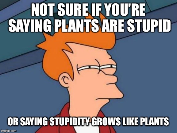 Futurama Fry Meme | NOT SURE IF YOU’RE SAYING PLANTS ARE STUPID OR SAYING STUPIDITY GROWS LIKE PLANTS | image tagged in memes,futurama fry | made w/ Imgflip meme maker