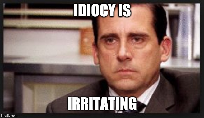 irritated | IDIOCY IS IRRITATING | image tagged in irritated | made w/ Imgflip meme maker